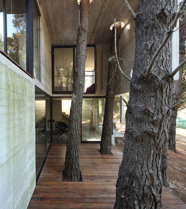 Архитектура: как сохранить деревья при строительстве дома