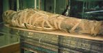 Ученые ищут разгадку заболеваний сердца с помощью мумий
