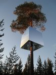 TreeHotel – отель на дереве