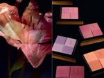 Jardin de Minuit – новая коллекция для осеннего макияжа от Yves Saint Laurent