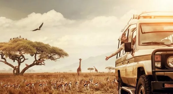 Каких животных можно увидеть на сафари в Кении