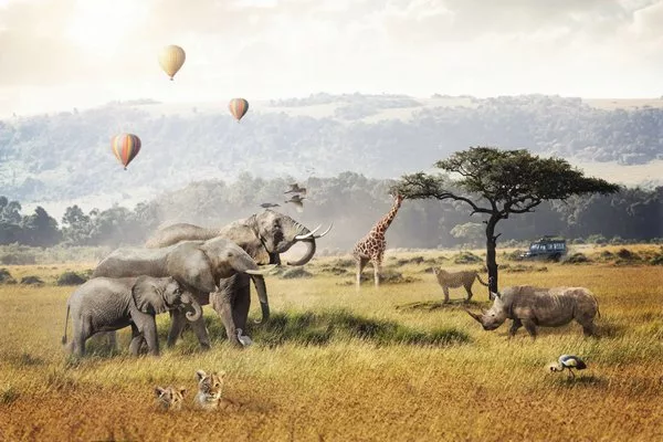 Каких животных можно увидеть на сафари в Кении